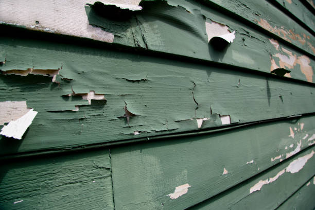 Best Dumpster Rental Services  in Cedaredge, CO
