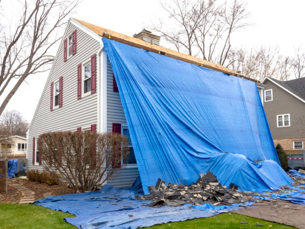 Best Shed Removal  in Cedaredge, CO